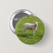 Lamsvlees Ronde Button 5,7 Cm (Voorkant /achterkant)