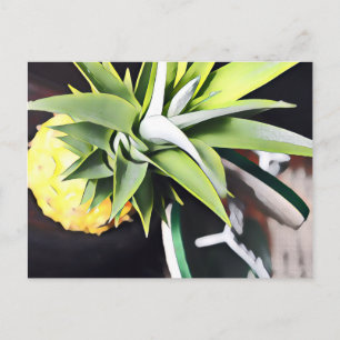 Lanai Day Trip briefkaart