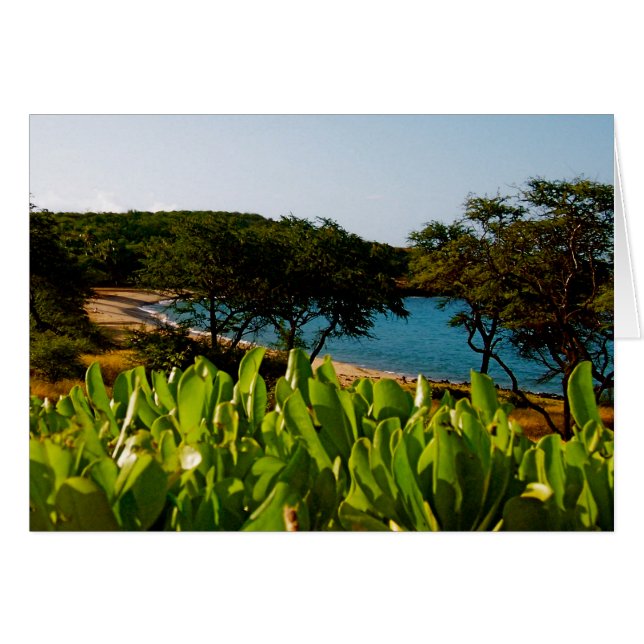 Lanai-eiland in Hawaii (Voorkant Horizontaal)