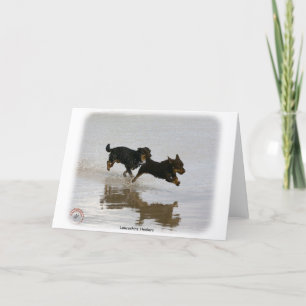 Lancashire Heeler 9R056D-182 Kaart