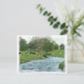 Lancaster Amish Briefkaart! Amish Proverb! KOPEN Briefkaart (Staand voorkant)