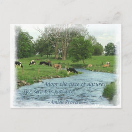 Lancaster Amish Briefkaart! Amish Proverb! KOPEN Briefkaart