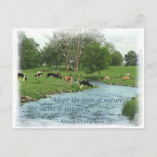 Lancaster Amish Briefkaart! Amish Proverb! KOPEN Briefkaart (Voorkant)