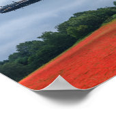 Lancaster Bomber en Hawker Hurricane die over vlie Poster (Hoek)