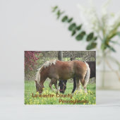 Lancaster County Pennsylvania - Ansichtkaart Briefkaart (Staand voorkant)