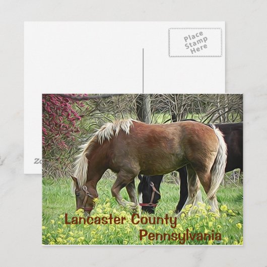 Lancaster County Pennsylvania - Ansichtkaart Briefkaart (Voorkant / Achterkant)