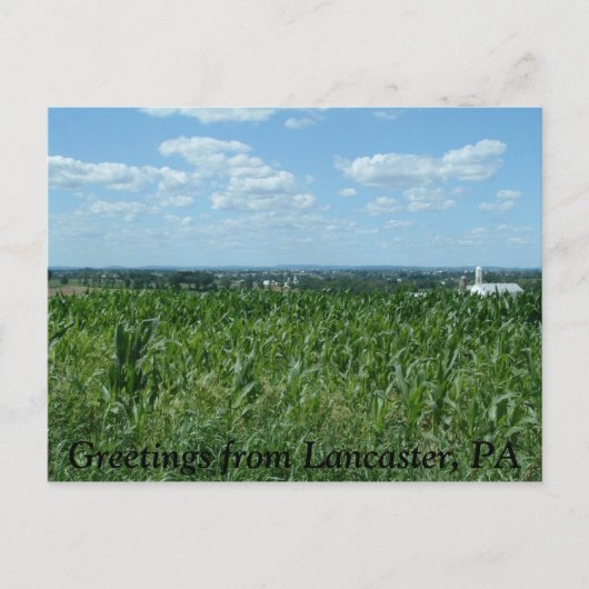 Lancaster-veld, Greetings van Lancaster, PA Briefkaart (Voorkant)