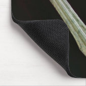 Lance point, Yayoi Period, 200 BC-AD 100 Muismat (Hoek)