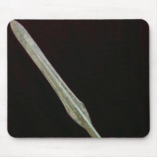 Lance point, Yayoi Period, 200 BC-AD 100 Muismat (Voorkant)