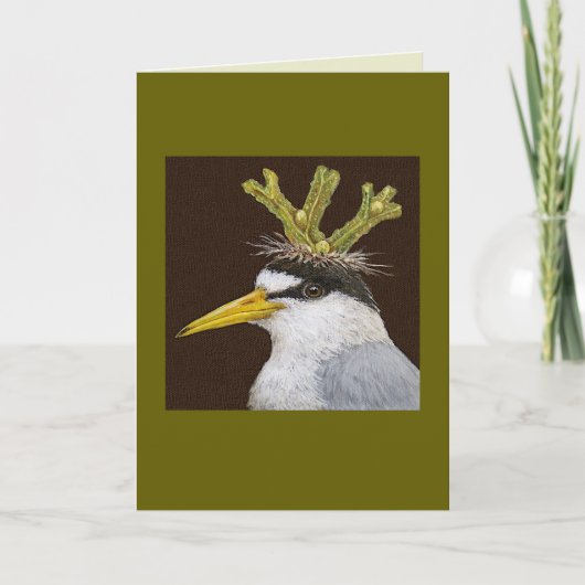 Lance the least tern card kaart (Voorkant)