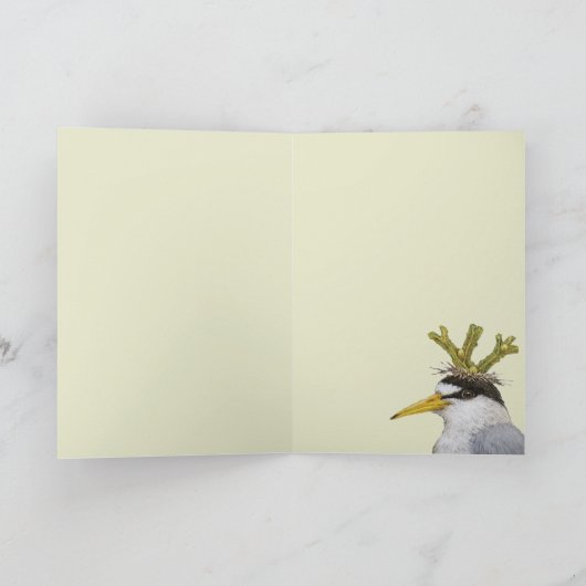 Lance the least tern card kaart (Binnen)