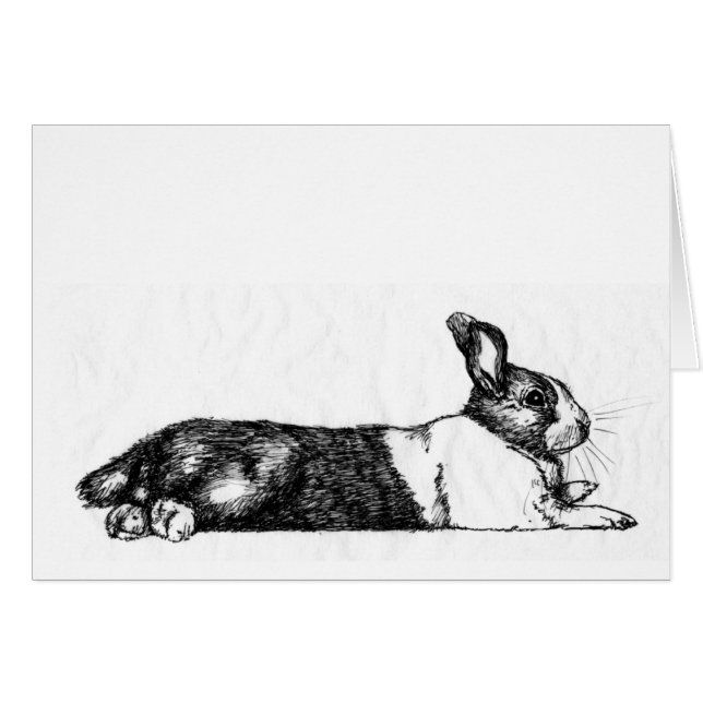 Lance the Unamused Bunneh (Voorkant Horizontaal)