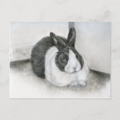 Lancelot Briefkaart (Voorkant)