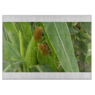 Land 109 glazen snijplank