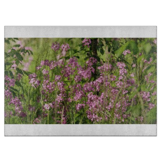 land 20B glassnijplank Snijplank (Voorkant)