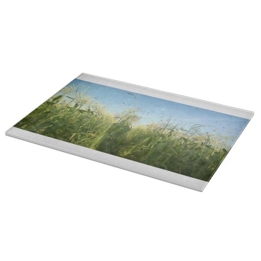 Land 40 glazen snijplank (Hoek)