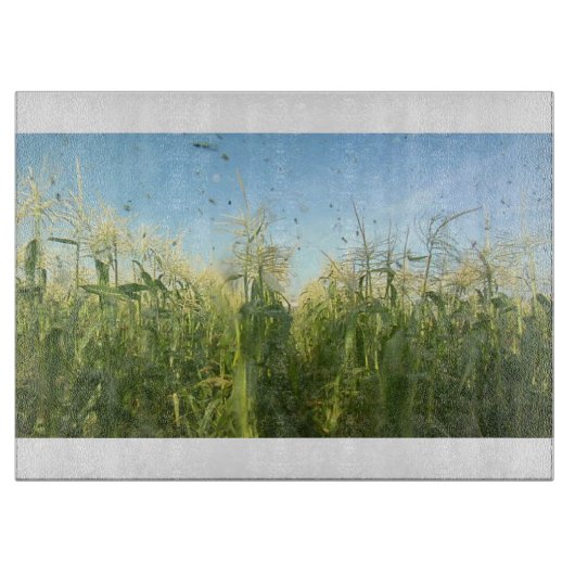 Land 40 glazen snijplank (Voorkant)