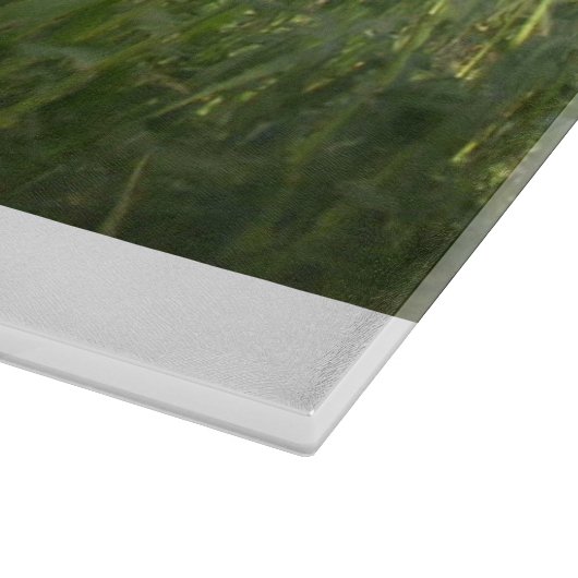 Land 40 glazen snijplank (Hoek)