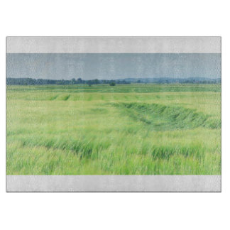 Land 81 glazen snijplank