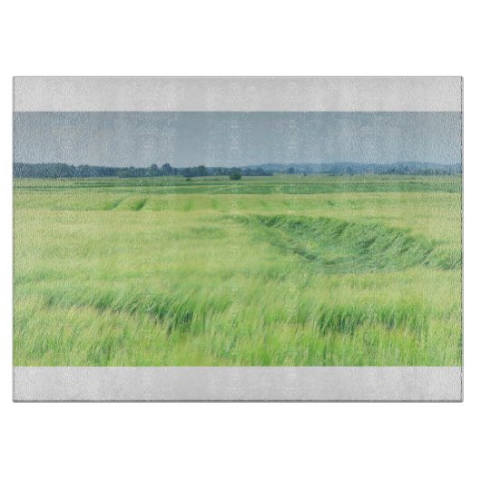 Land 81 glazen snijplank (Voorkant)