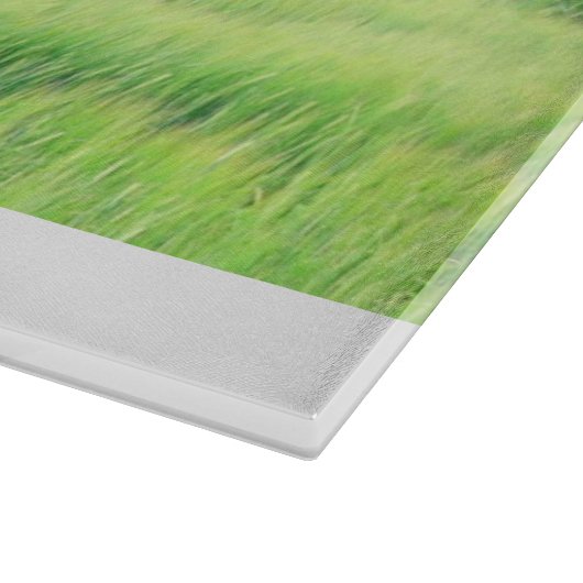 Land 81 glazen snijplank (Hoek)