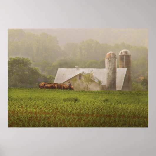 Land - Amish boerenbedrijf Poster (Voorkant)