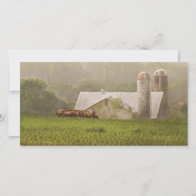 Land - Amish Farming (Voorkant)