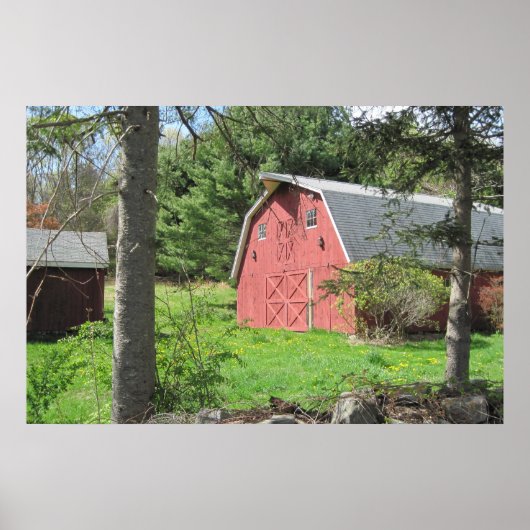 Land Barn-Poster Poster (Voorkant)