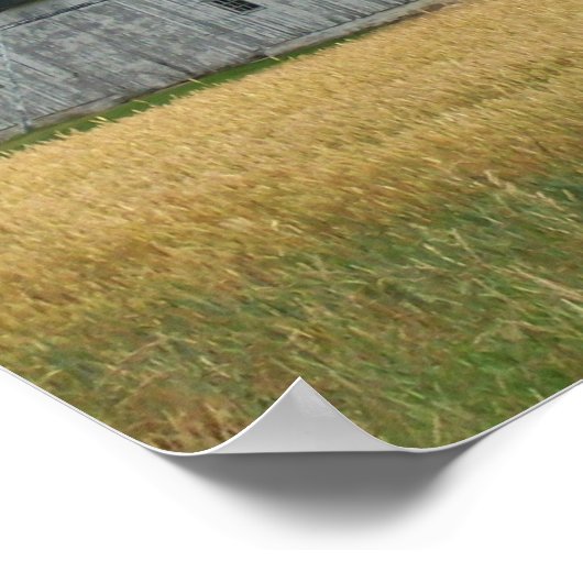 Land Barn-Poster Poster (Hoek)