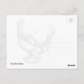 Land Barnyard Rooster Fotografie Briefkaart (Achterkant)