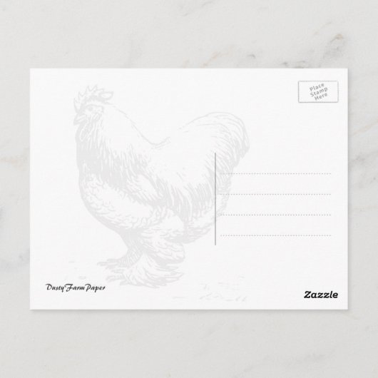 Land Barnyard Rooster Fotografie Briefkaart (Achterkant)