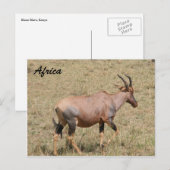 land briefkaart (Voorkant / Achterkant)