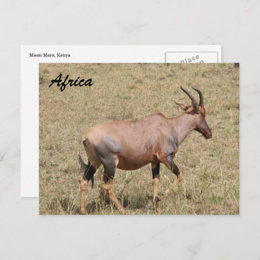 land briefkaart (Voorkant / Achterkant)