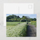 Land Briefkaart (Voorkant / Achterkant)
