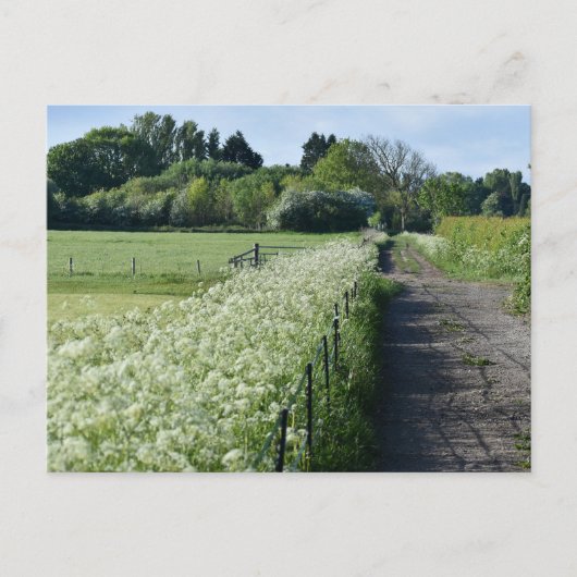 Land Briefkaart (Voorkant)