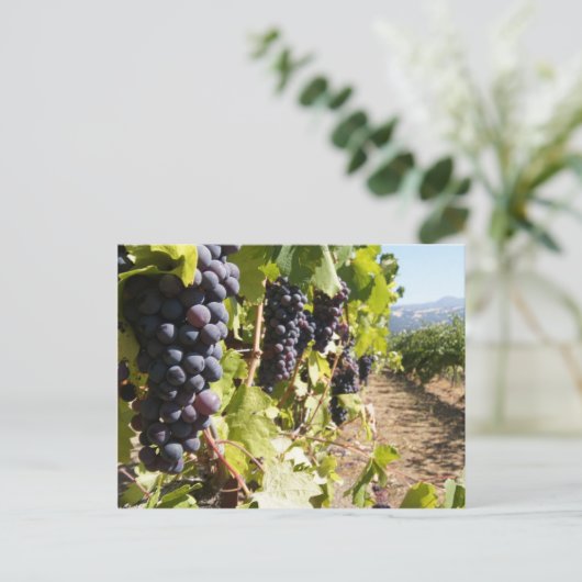 Land Californische wijn Briefkaart (Staand voorkant)
