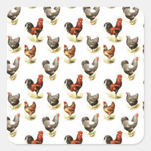 Land Chicken Pattern Vierkante Sticker