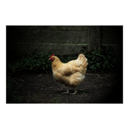 Land Chicken Perfect Poster