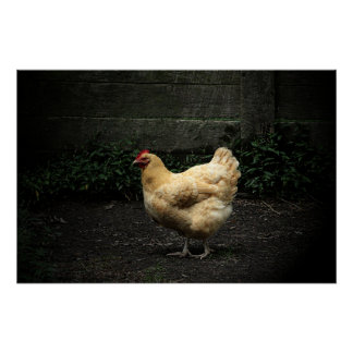 Land Chicken Perfect Poster