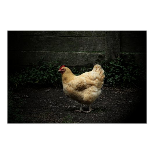 Land Chicken Perfect Poster (Voorkant)