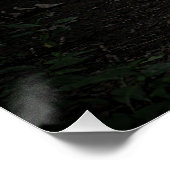 Land Chicken Perfect Poster (Hoek)