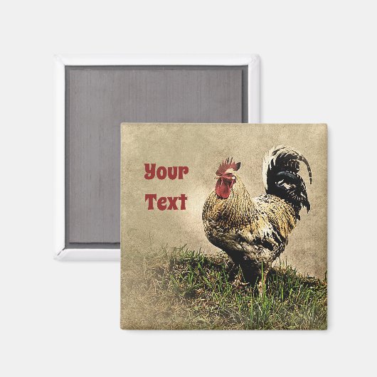 Land Chicken Rooster Magnet (Voorkant / Achterkant)