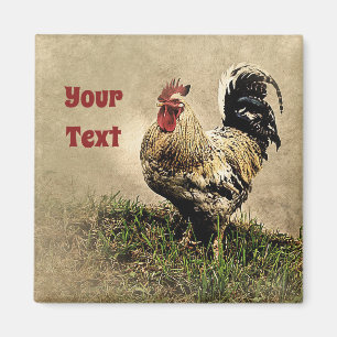 Land Chicken Rooster Magnet