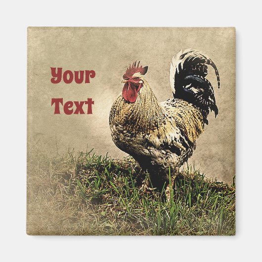 Land Chicken Rooster Magnet (Voorkant)