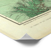 Land Classification Map of Southwestern New Mexico Poster (Hoek)