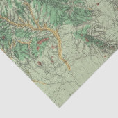 Land Classification Map of Southwestern New Mexico Tissuepapier (Detail)