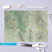 Land Classification Map of Southwestern New Mexico Tissuepapier (Craft)