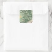 Land Classification Map van Zuid-Californië Vierkante Sticker (Tas)