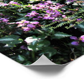 Land Cottage Northside Spring Garden Poster (Hoek)