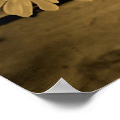 Land Daisies Poster (Hoek)